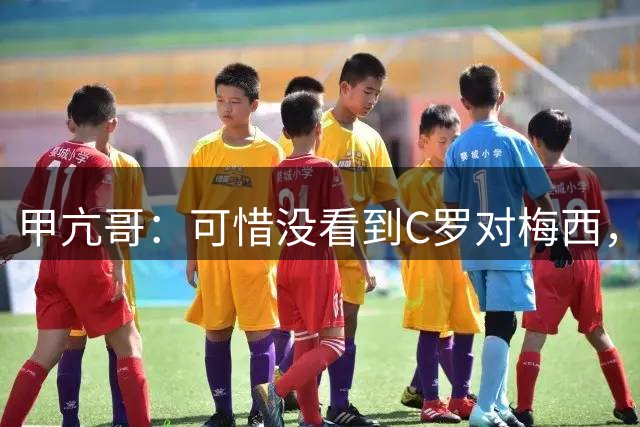甲亢哥：可惜没看到C罗对梅西，踢西班牙那场太差了